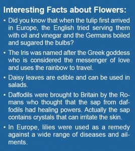 Interesting Facts about flower